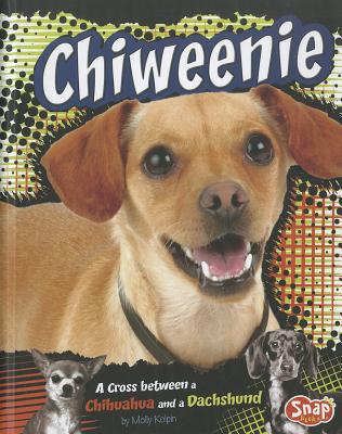 有关以下物品的详细资料: chiweenie by kolpin, molly